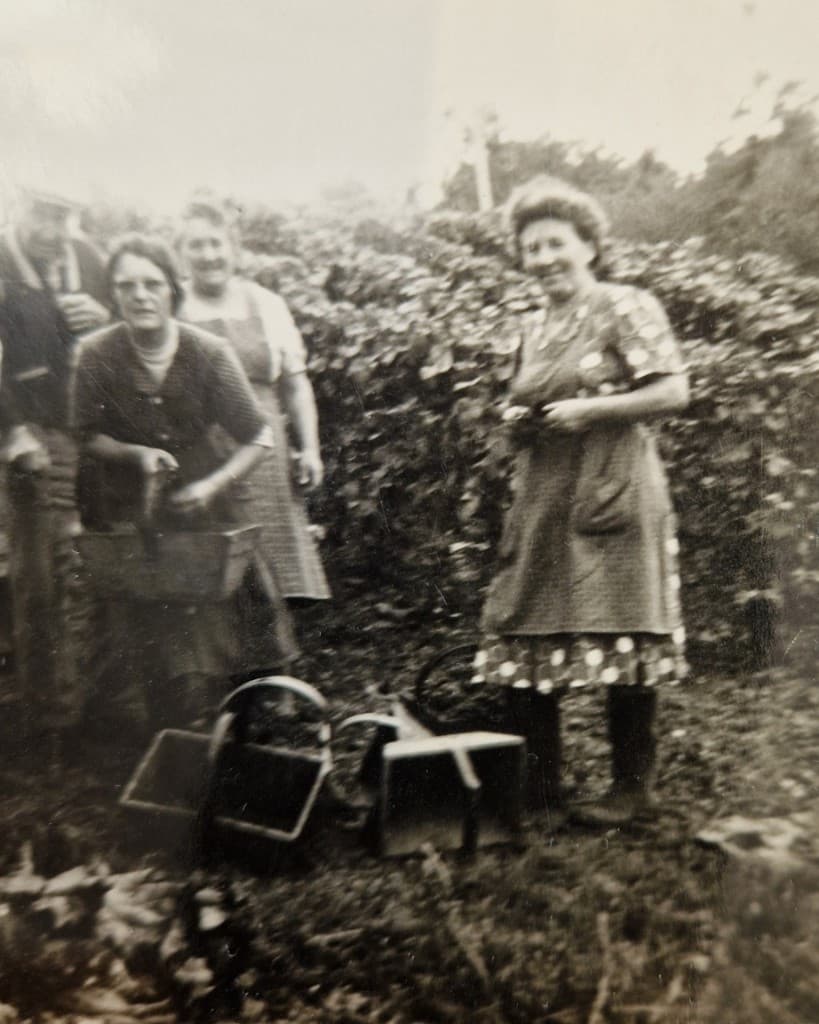 Femmes de la famille aux vendanges