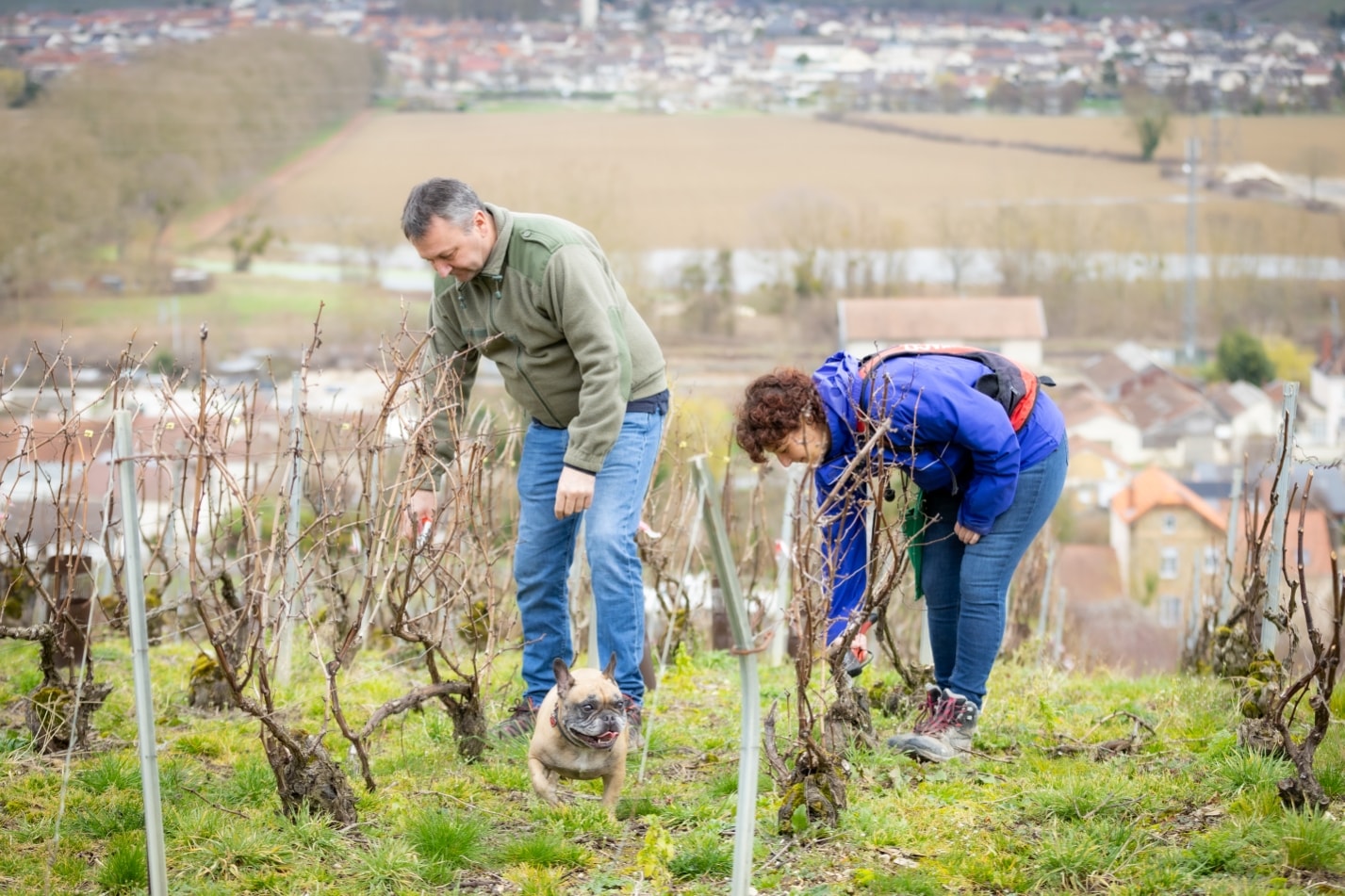 Michael et Fanny taillant les vignes dans la Vallée de la Marne