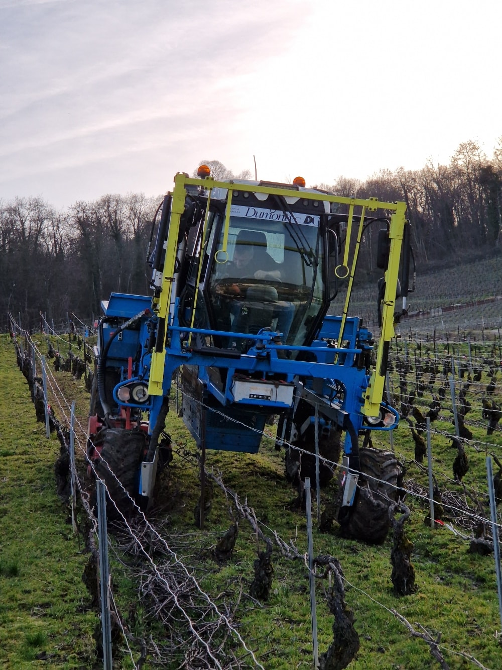 Vignoble Blaise-Laroche dans la Vallée de la Marne